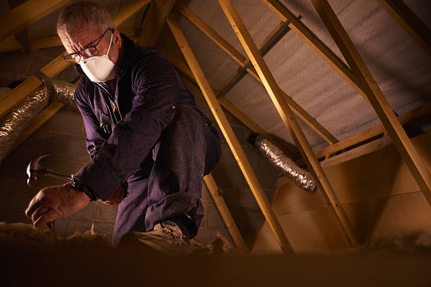 Best Cellulose Insulation in Nassau Village Ratliff, FL