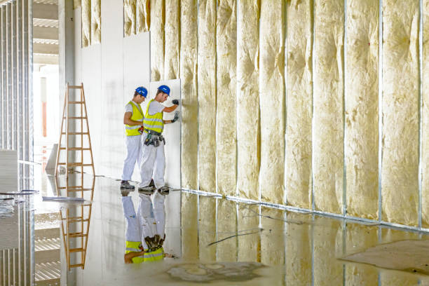 Best Geographic-Specific Insulation Services in Nassau Village Ratliff, FL